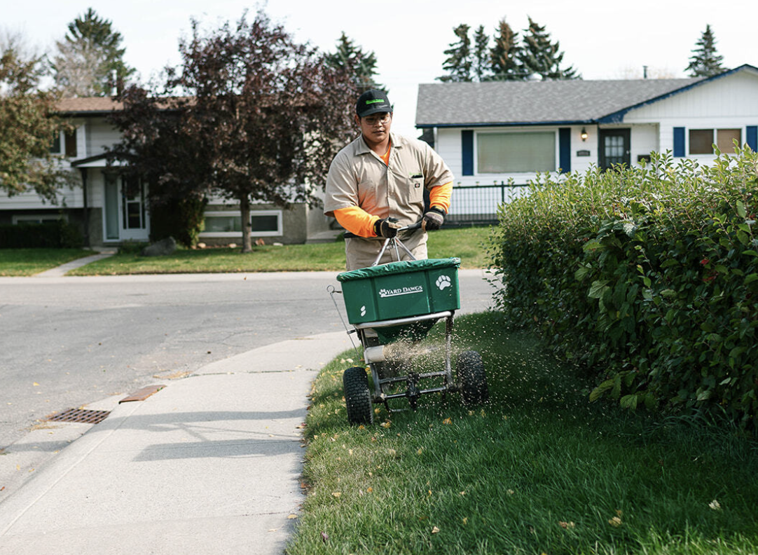 Apply Pre-Emergent Weed Control