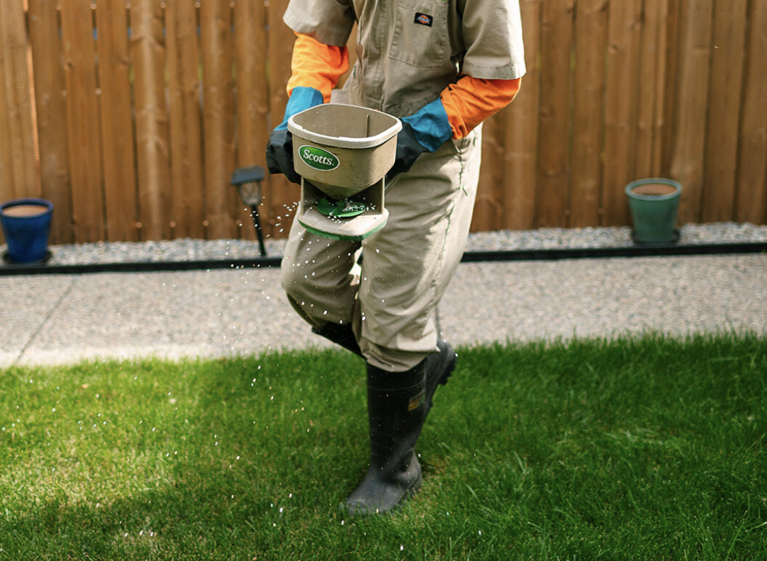 Apply the Grass Seed Evenly