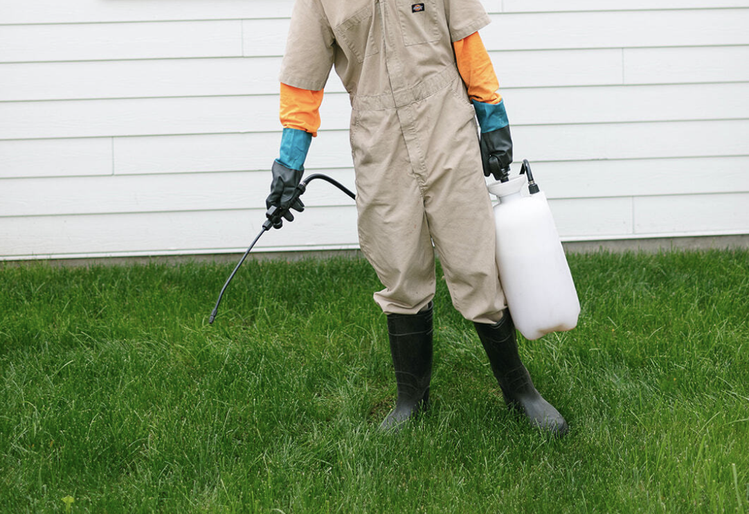 Best Weed Killers in Canada: Top Picks for 2025