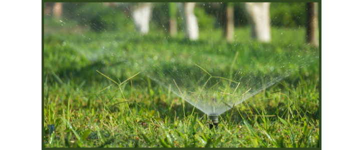 automatic lawn sprinkler watering green lawn