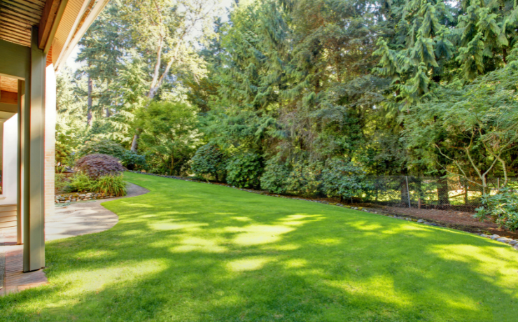 backyard lawn in the shade of trees surrounding the property