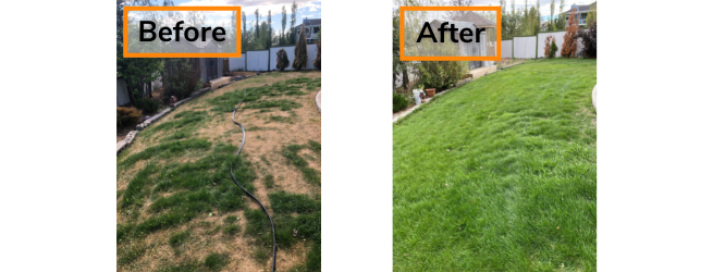 a before and after comparison of great dane lawn care package