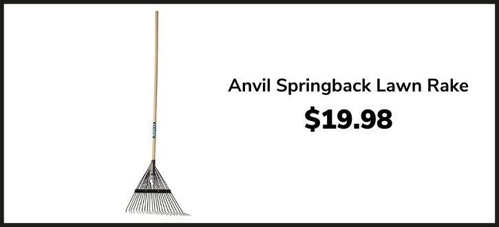 Anvil springback lawn rake for spring lawn care