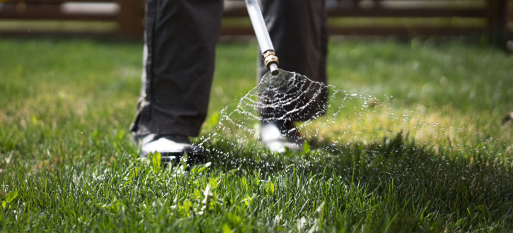 Yard Dawgs technician applies weed control to a lawn with wand applicator