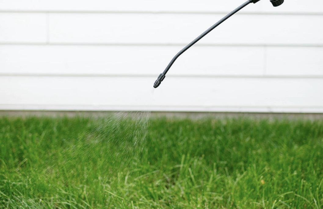 How Lawn Aeration Prevents Disease