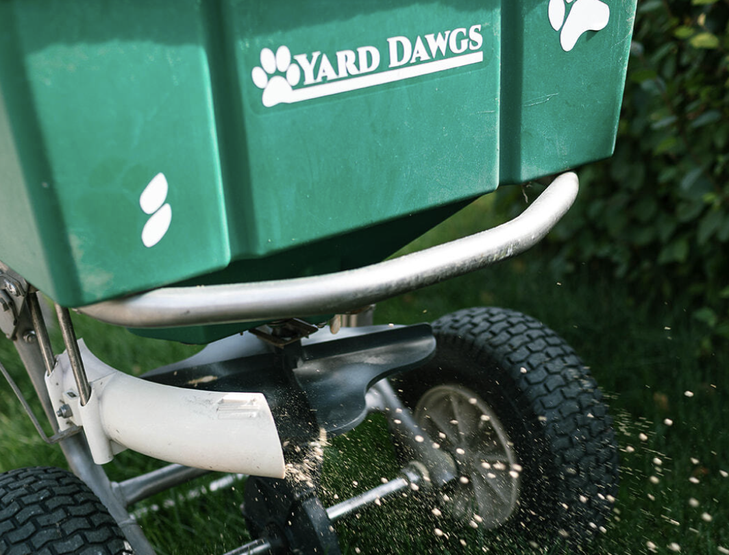 How to Speed Up Grass Seed Germination