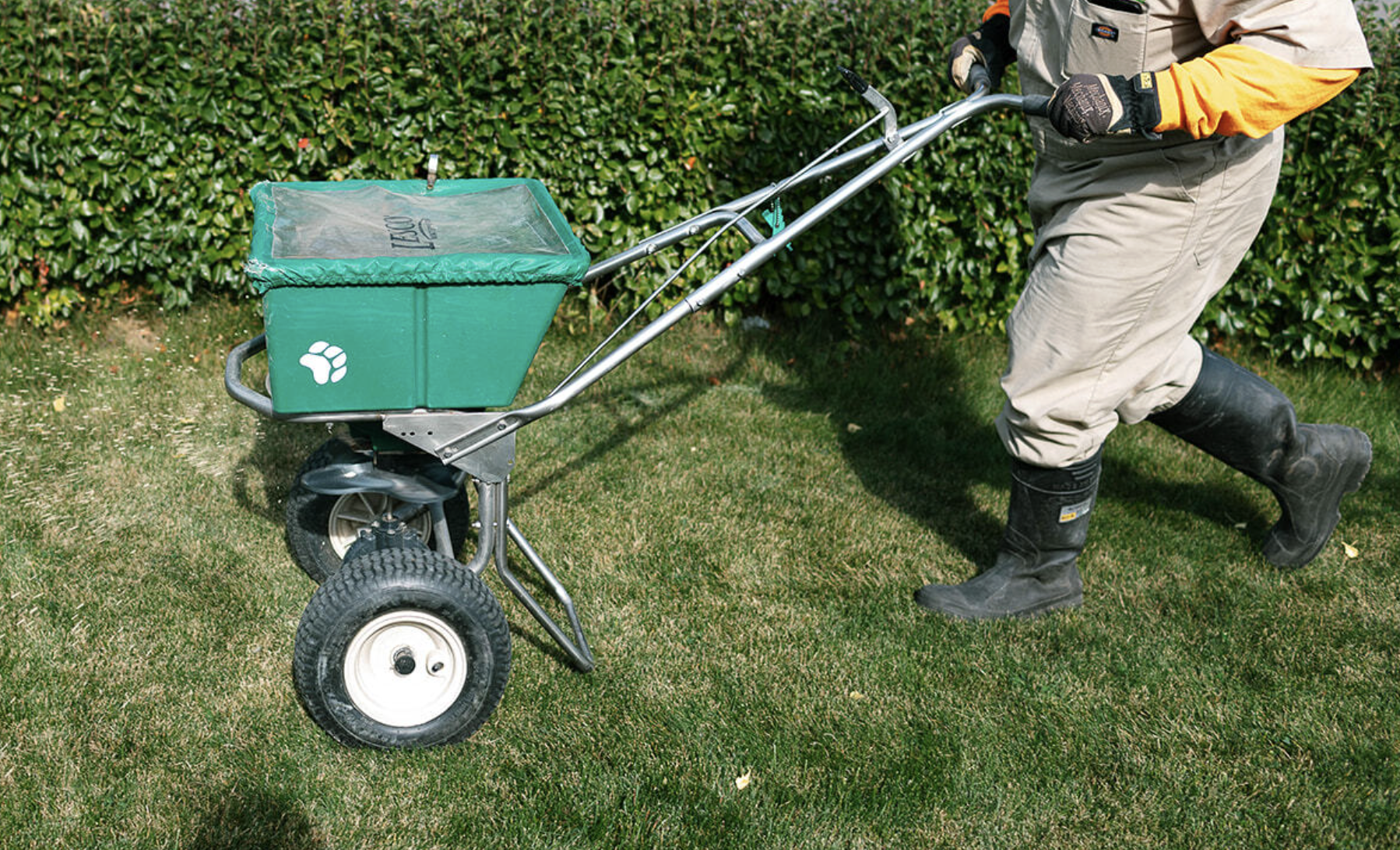 When Traditional Seeding Makes Sense