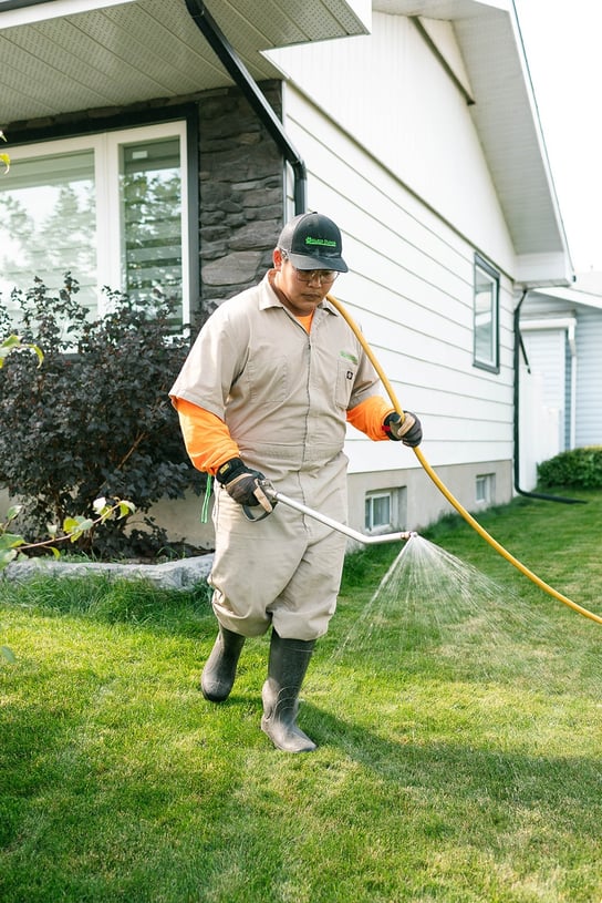 Effective Weed Control in Calgary
