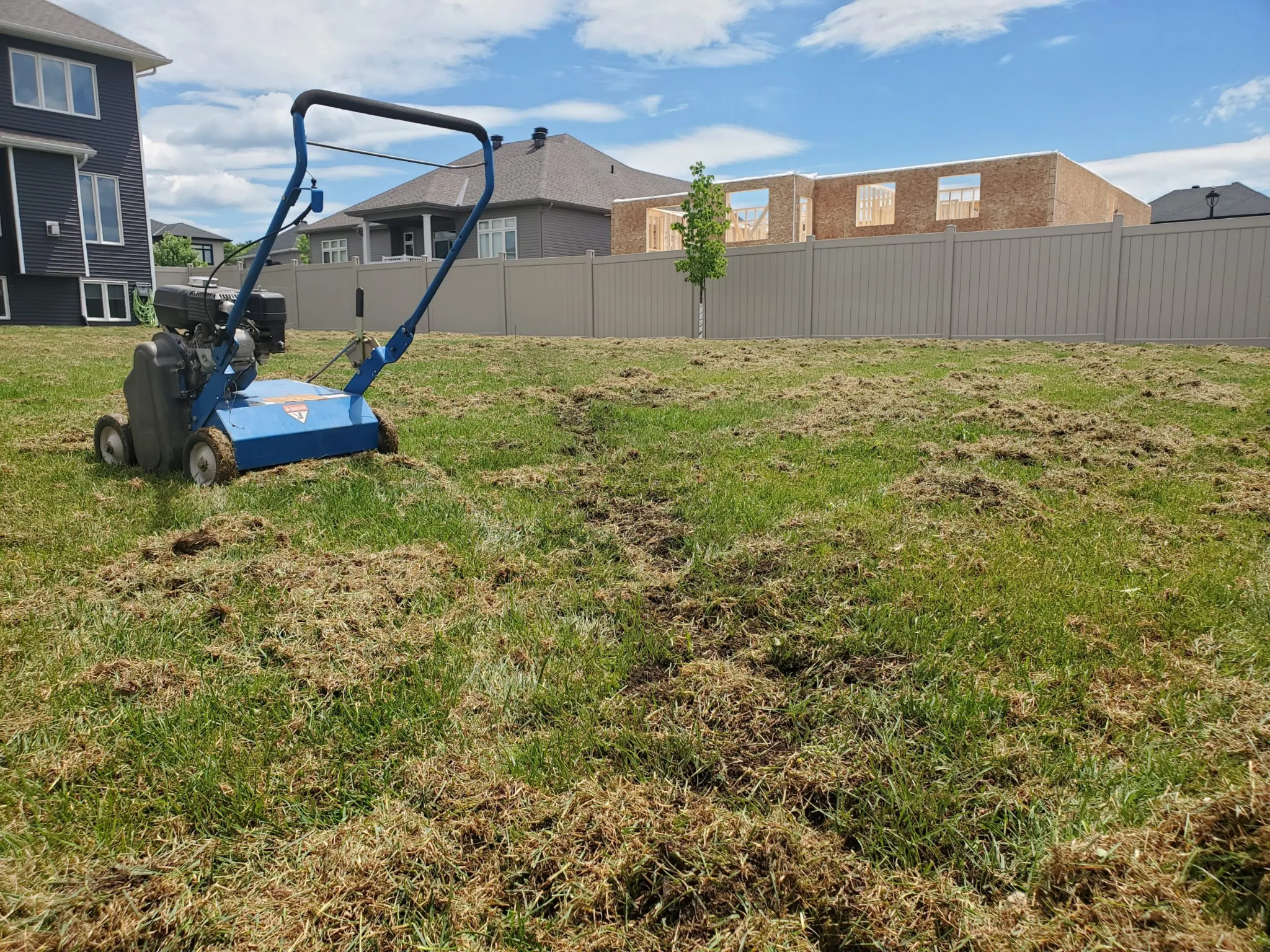 Lawn Raking in Spring