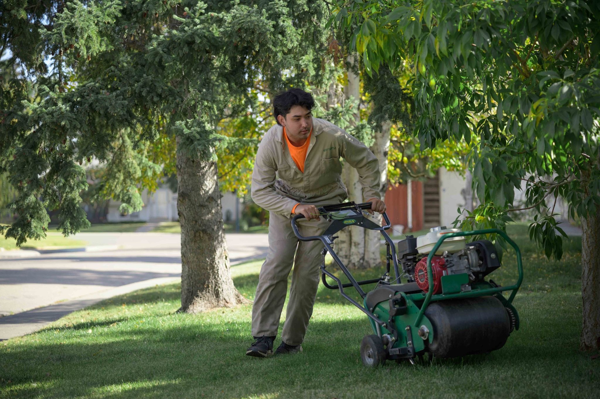 Professional Aeration Service in Edmonton