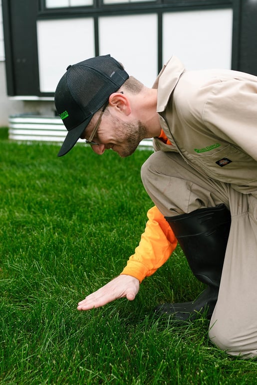 Lawn care technician inspecting healthy grass to check for early signs of chinch bug activity
