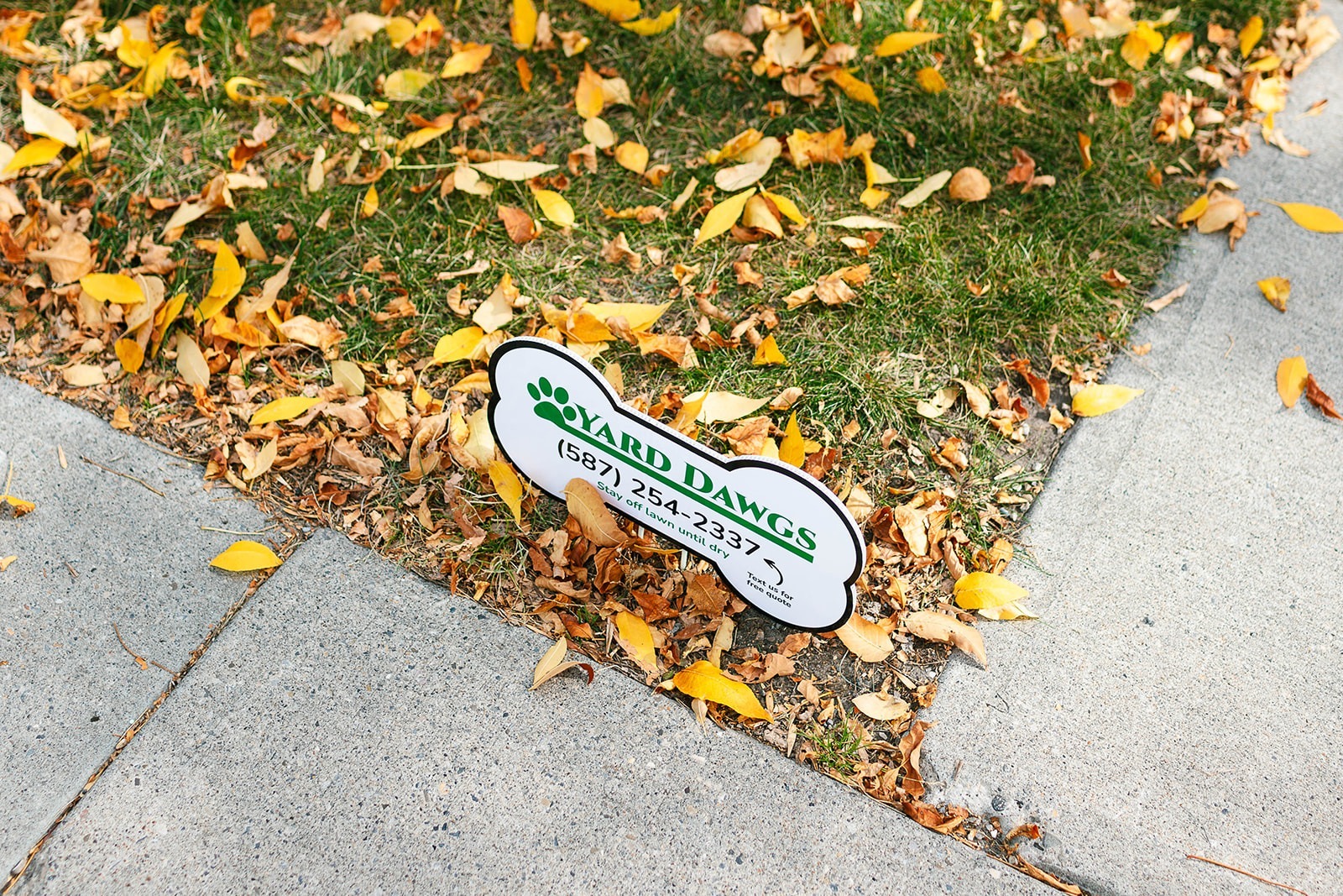 Yard Dawgs's Lawn Care in Medicine Hat