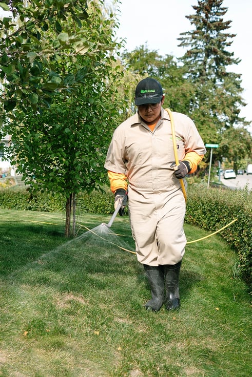 Professional Weed Control in Medicine Hat