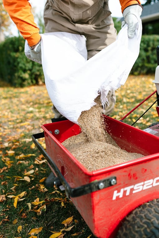 Professional Lawn Reseeding in Spring