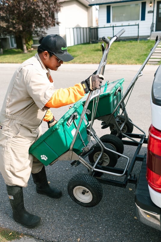 Fertilize Your Lawn with Yard Dawgs