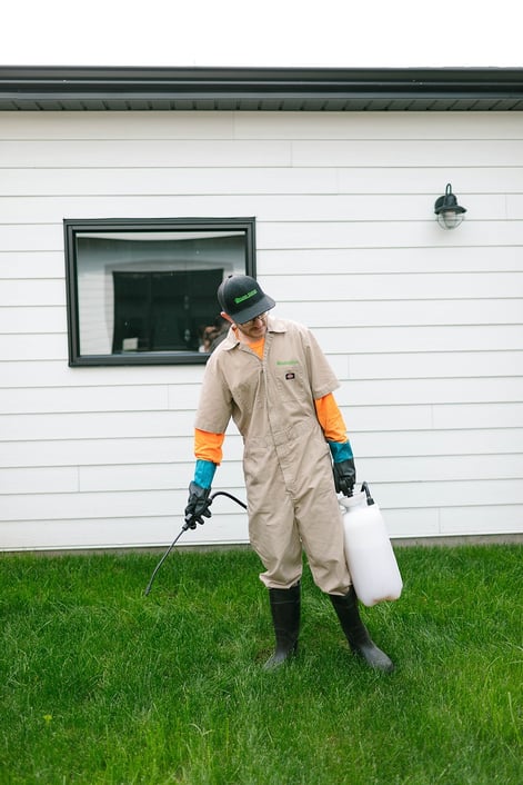 Weed Control Service