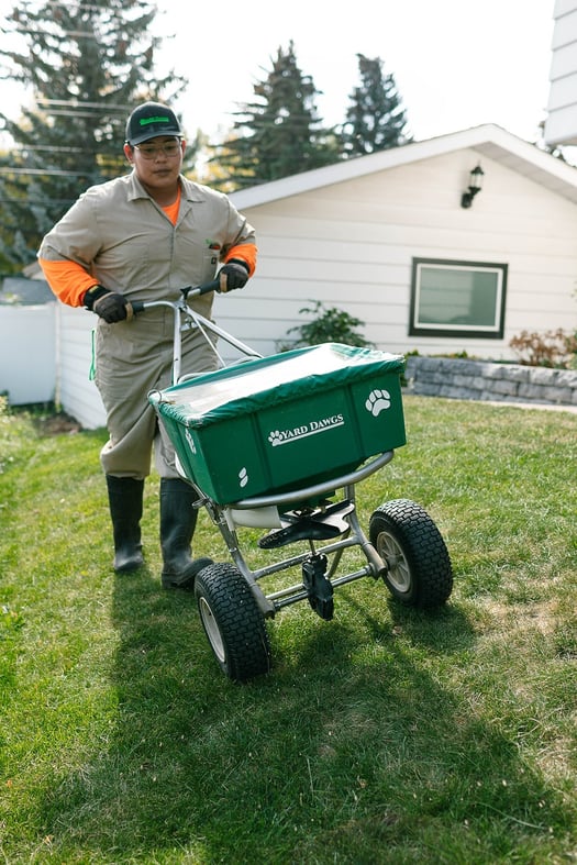 Spring Lawn Fertilization Service