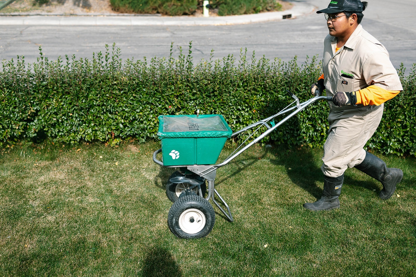 Professional overseeding service