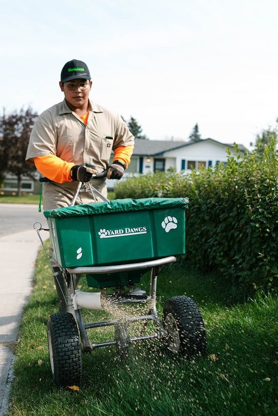Professional Fertilization Service