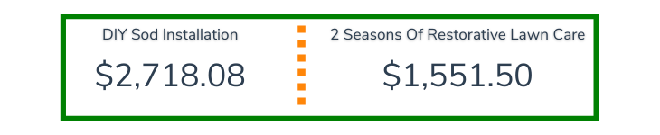The Cost Comparison: Sod vs. Lawn Restoration