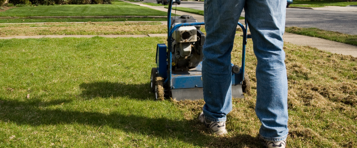 Why Power Raking Is Bad For Your Lawn [+The Damage It Causes]