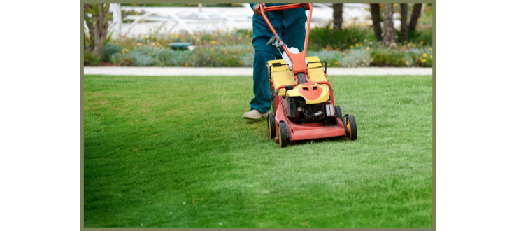 lawn mower across grass in spring - for lawn care equipment blog