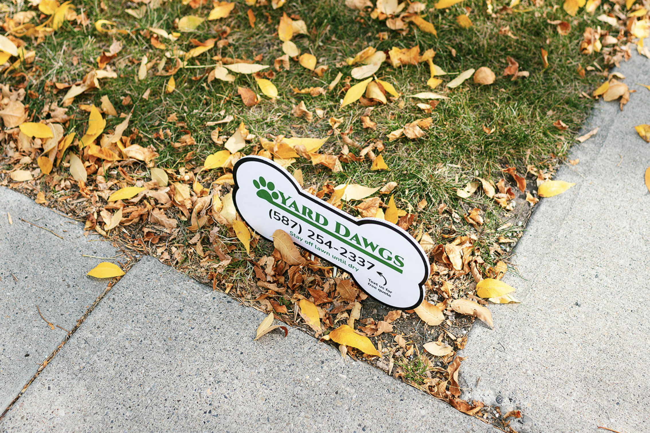 Fall Lawn Care Tips to Prepare for Winter