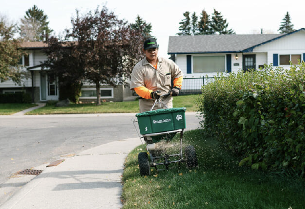 How Long Does Grass Seed Take to Germinate?