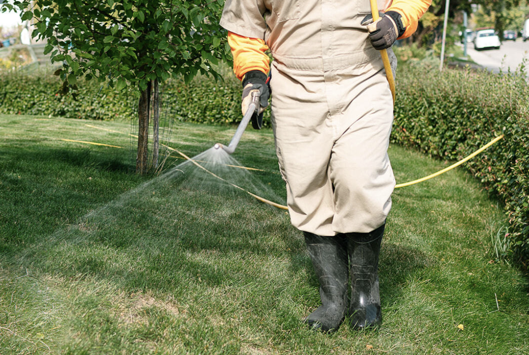 How Often to Aerate Your Lawn in Alberta & Saskatchewan