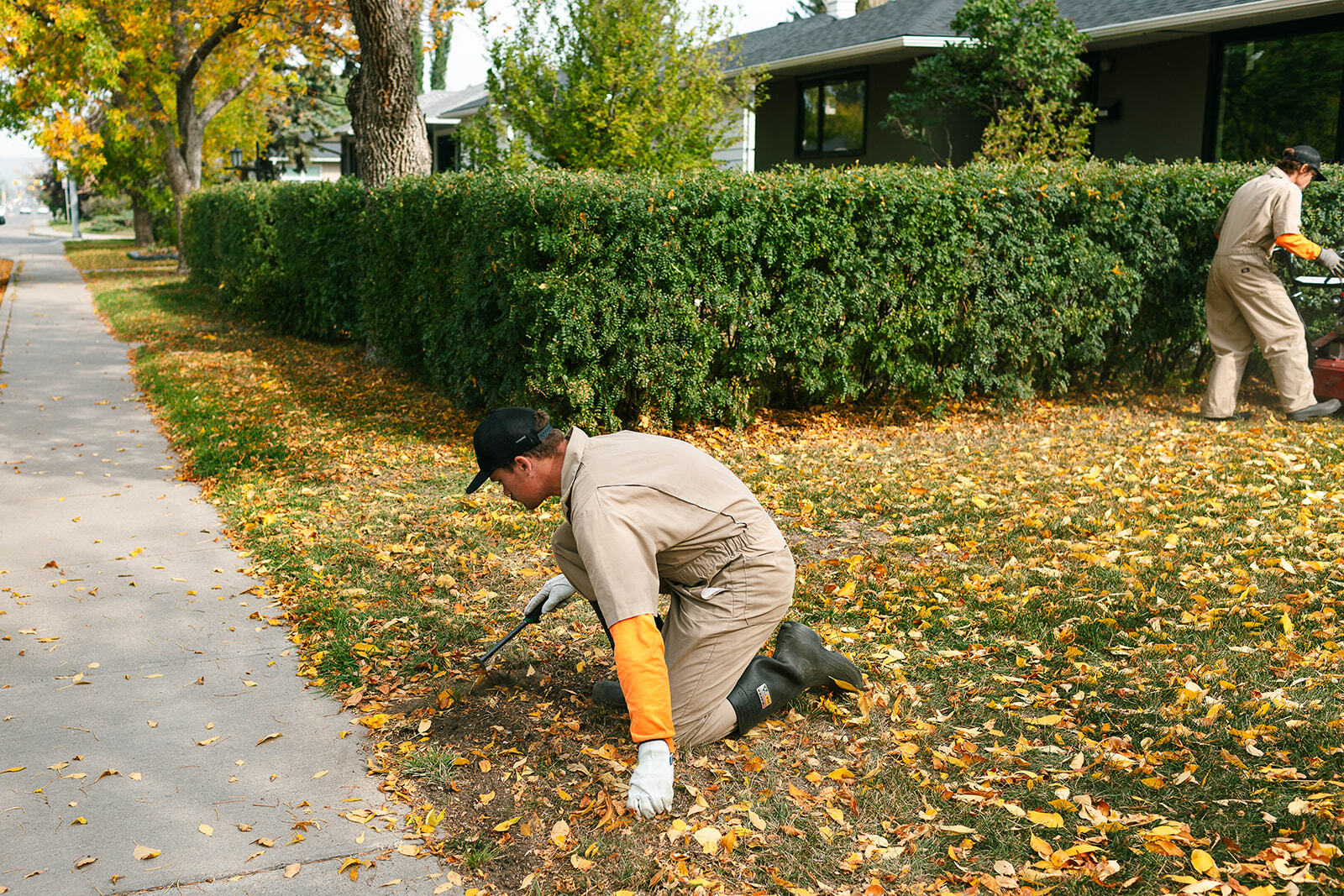 Best Lawn Care Routine for Alberta and Saskatchewan