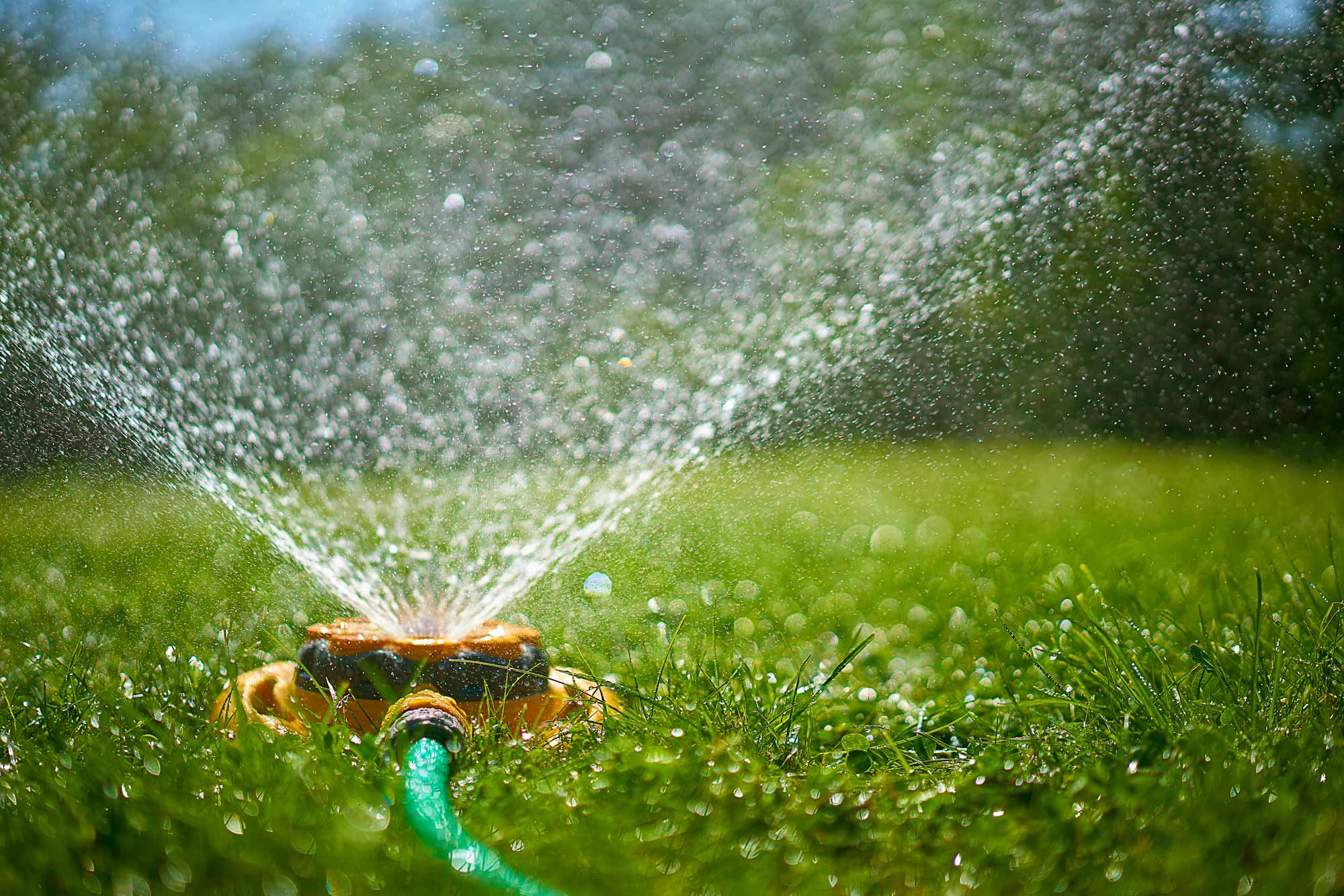 How Much Should I Water My Lawn In Calgary?