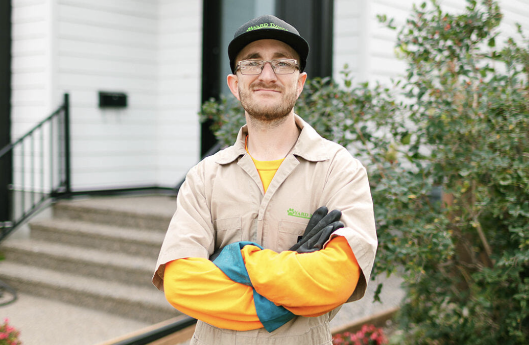 Professional Lawn Care Services: What to Know