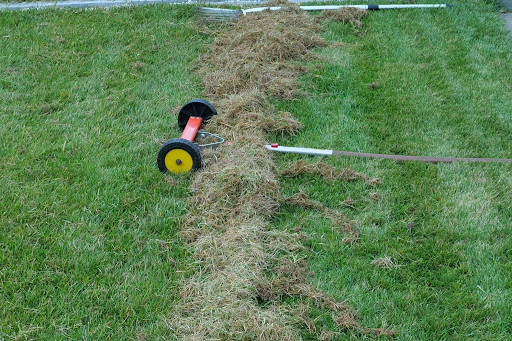 When to Rake Your Lawn in Spring: Best Timing Tips
