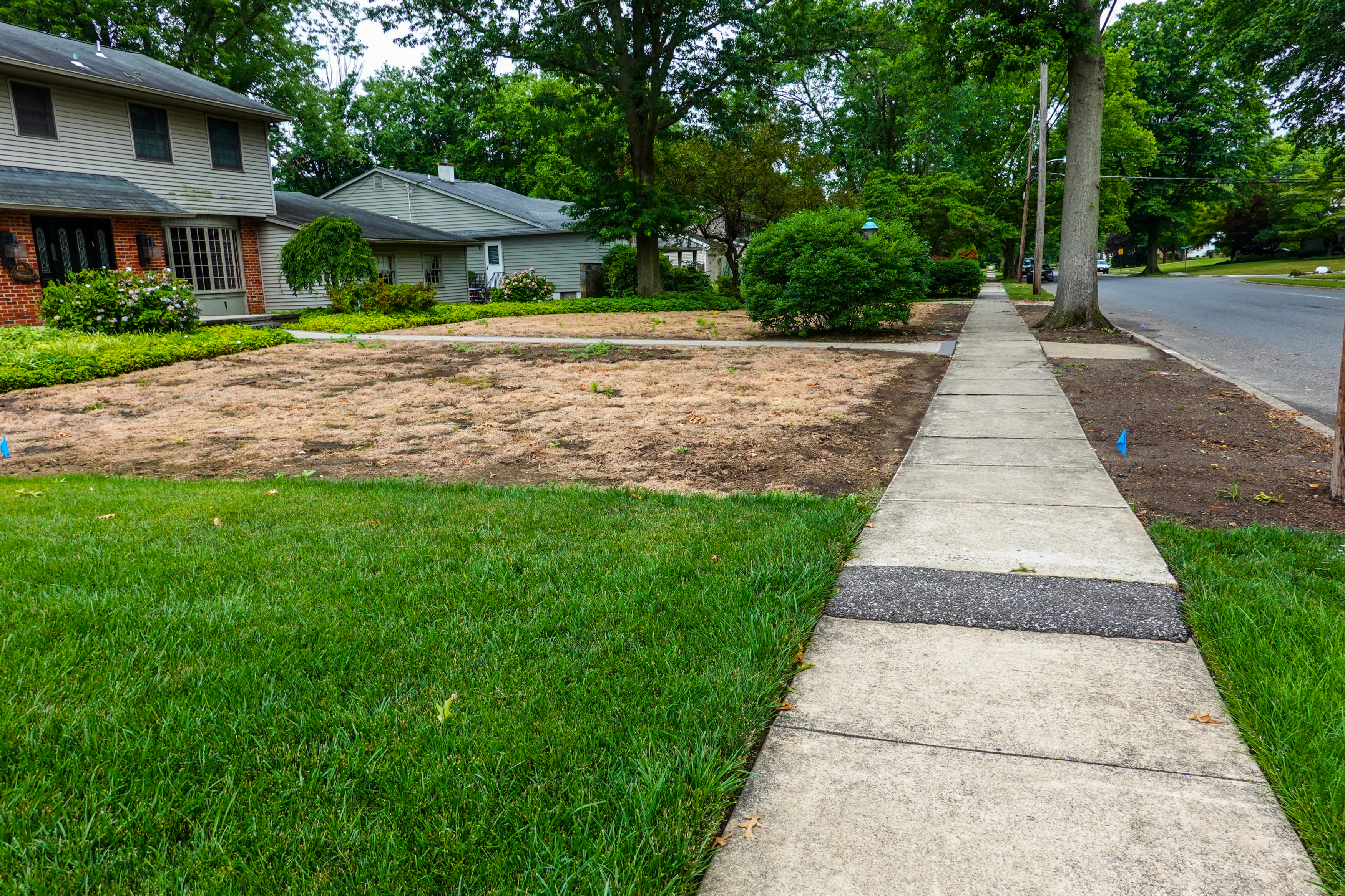 Blog: Why Do You Need To Fertilize Your Lawn Every Year?
