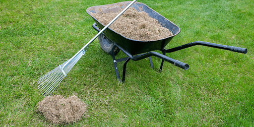 Spring Lawn Cleanup in Edmonton: What to Do First