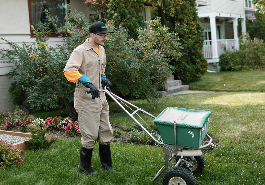Topdressing & Overseeding for Thicker Prairie Lawns