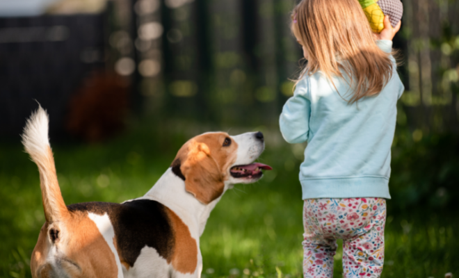 Is Weed Control Safe For Your Kids And Pets?