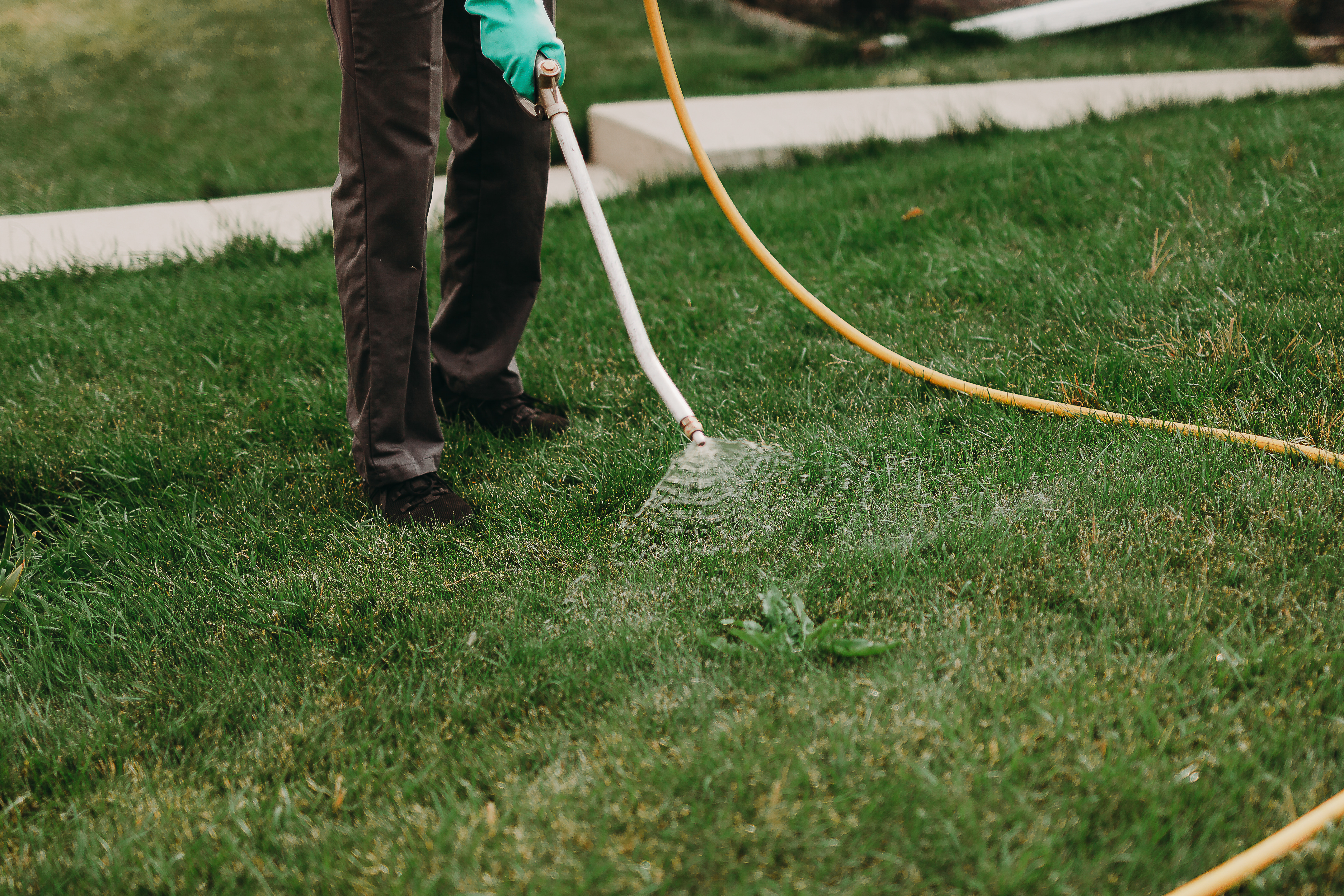 How To Get Rid Of Weeds For Good [Everything You Need To Know]