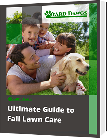 Ultimate Guide to Fall Lawn care