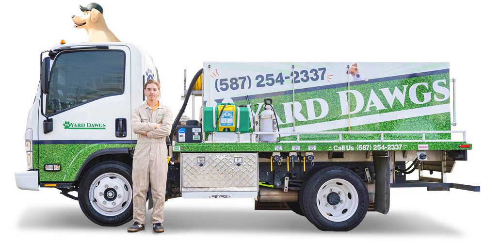 Yard Dawgs Lawn Care