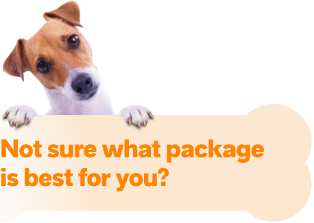 Confused Dog Not Sure What Package To Pick